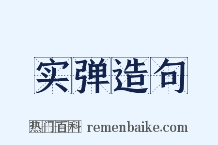 实弹造句是什么意思的图片